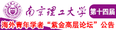 我要肏美女大屄看毛片南京理工大学第十四届海外青年学者紫金论坛诚邀海内外英才！